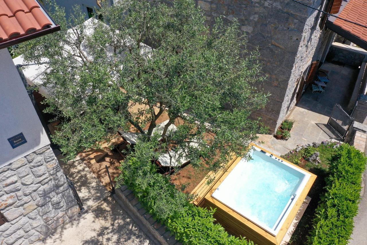 Villa Fani With Jacuzzi Ičići Buitenkant foto